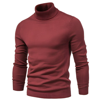 Harvey - Stylischer Rollkragenpullover für Herren